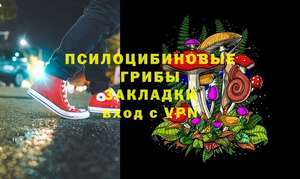гашик Алексеевка