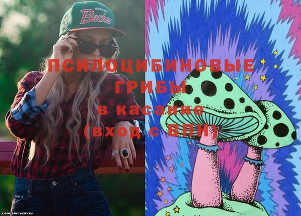гашик Алексеевка