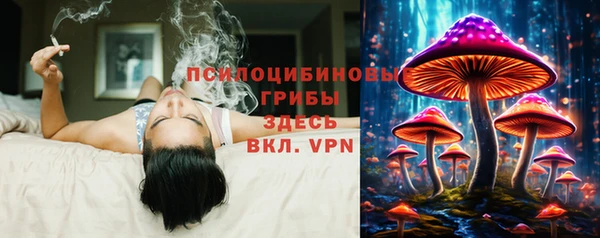 мет Абаза